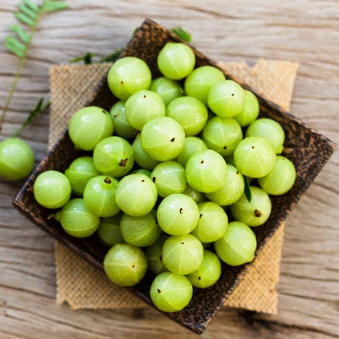 Fresh Indian Gooseberry